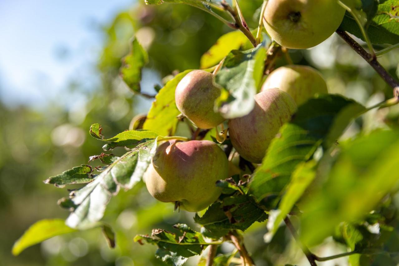 Вілла Pomme De Reinette Азе-ле-Ридо Екстер'єр фото